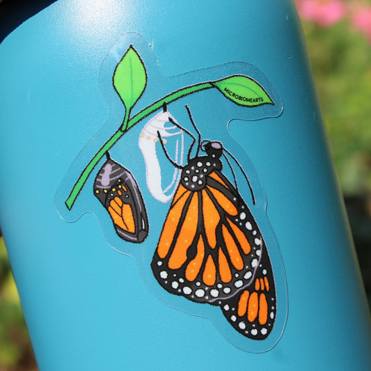 Emerging Monarch Clear