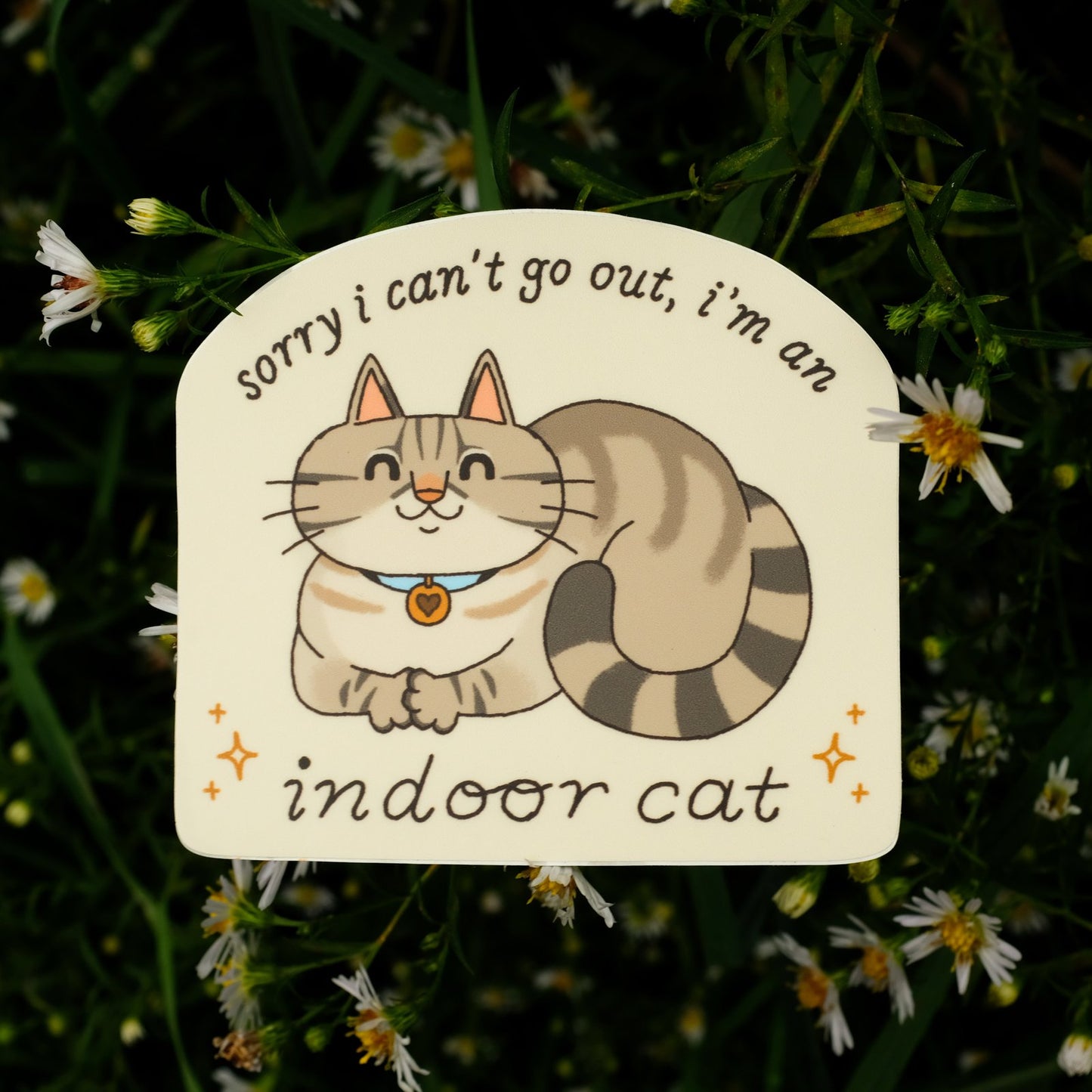 Sorry I can't go out, I'm an indoor cat
