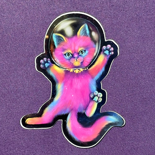 Lost in Space Cat