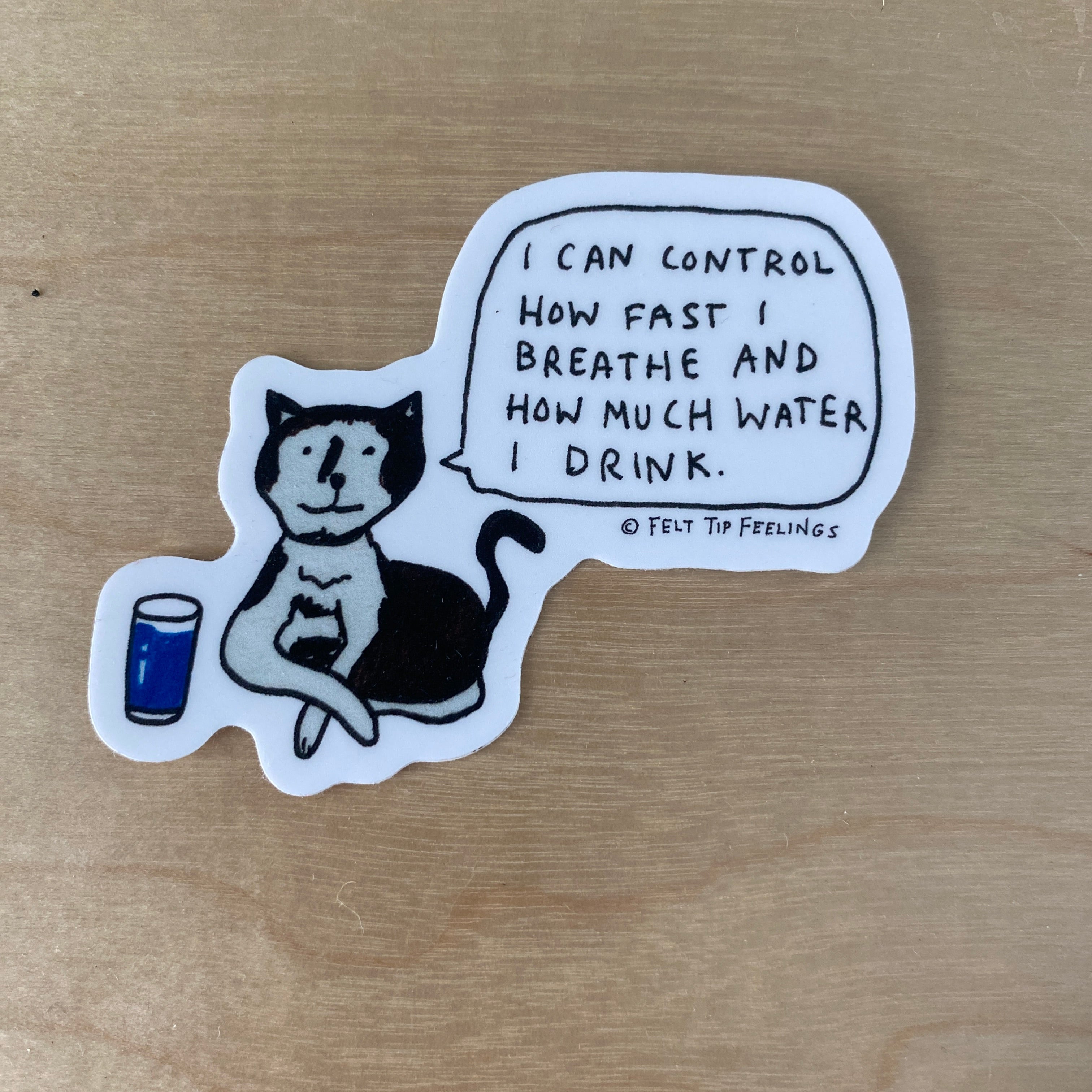 Control Cat – Sticker Witches